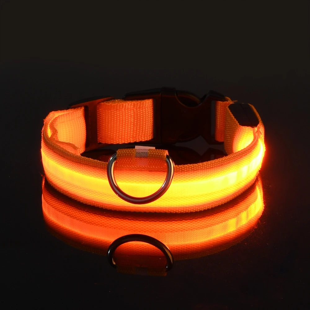 Nylon LED Night Safety Dog Leash And Collar Glow Bright