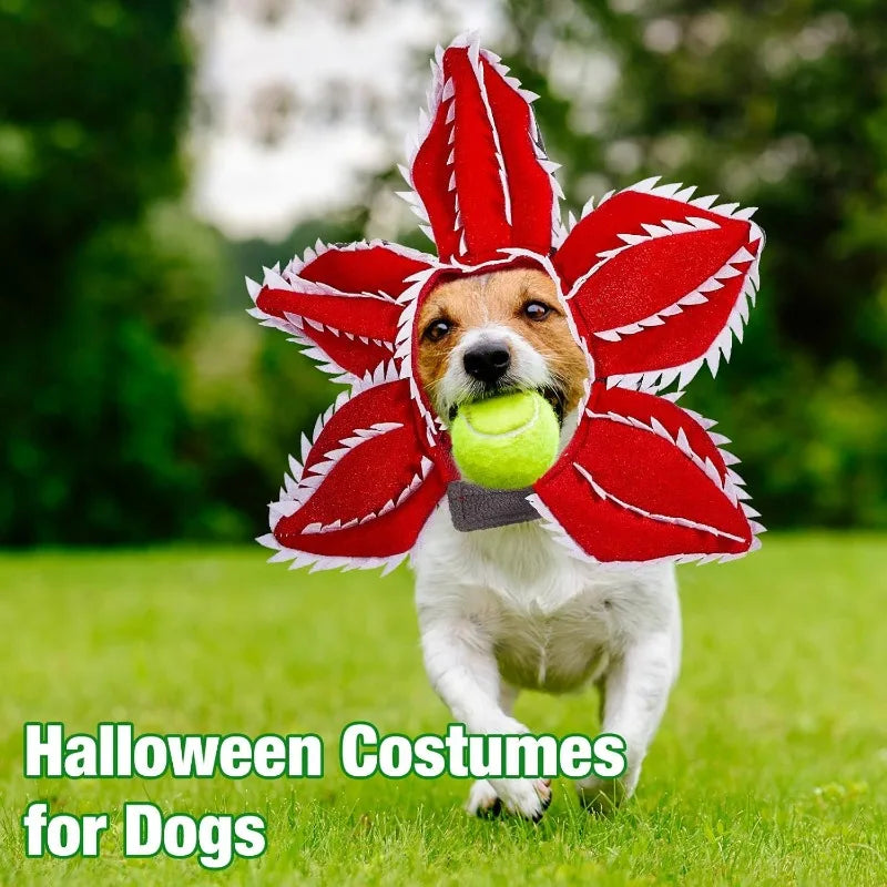 Adorable Pet Cosplay Headband Floral Hat For Dog Cat Costume