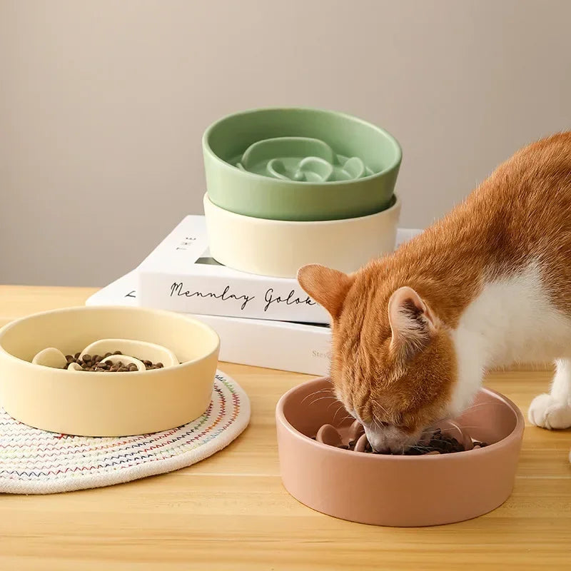 Ceramic Slow Feeder Pet Bowl for Dogs and Cats