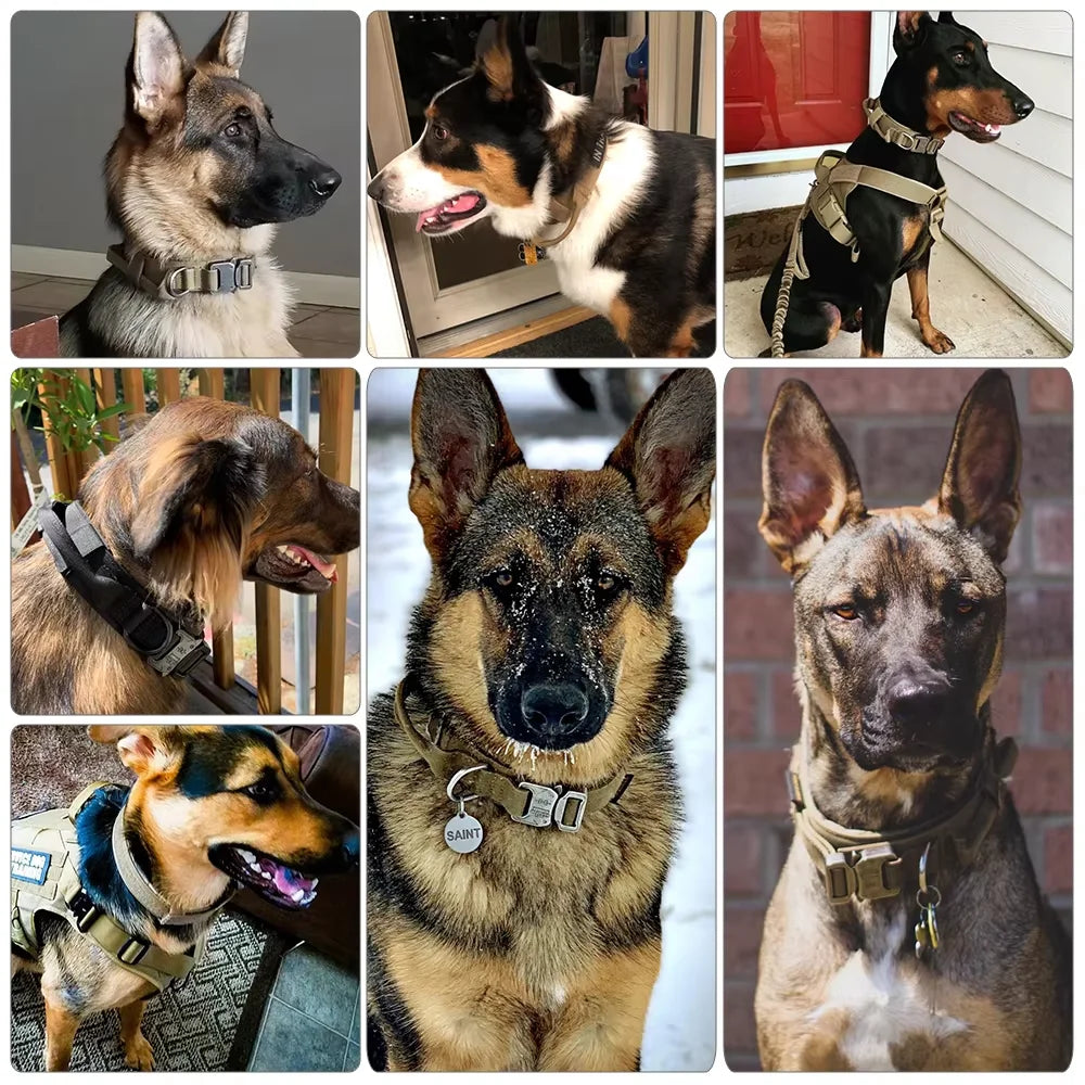 Adjustable Tactical Dog Training Collar And Leash Set Control Handle