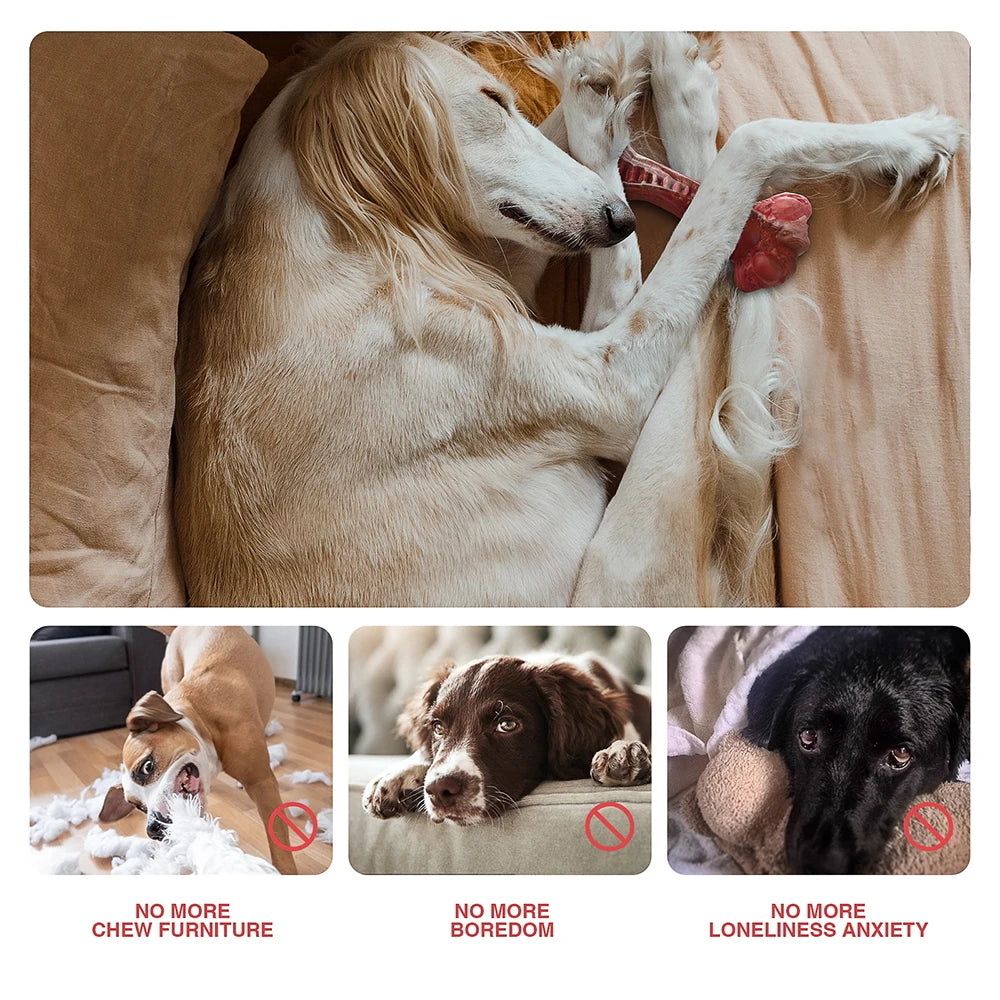 MASBRILL Bone Shaped Rubber Chew Toy For Aggressive Chewers