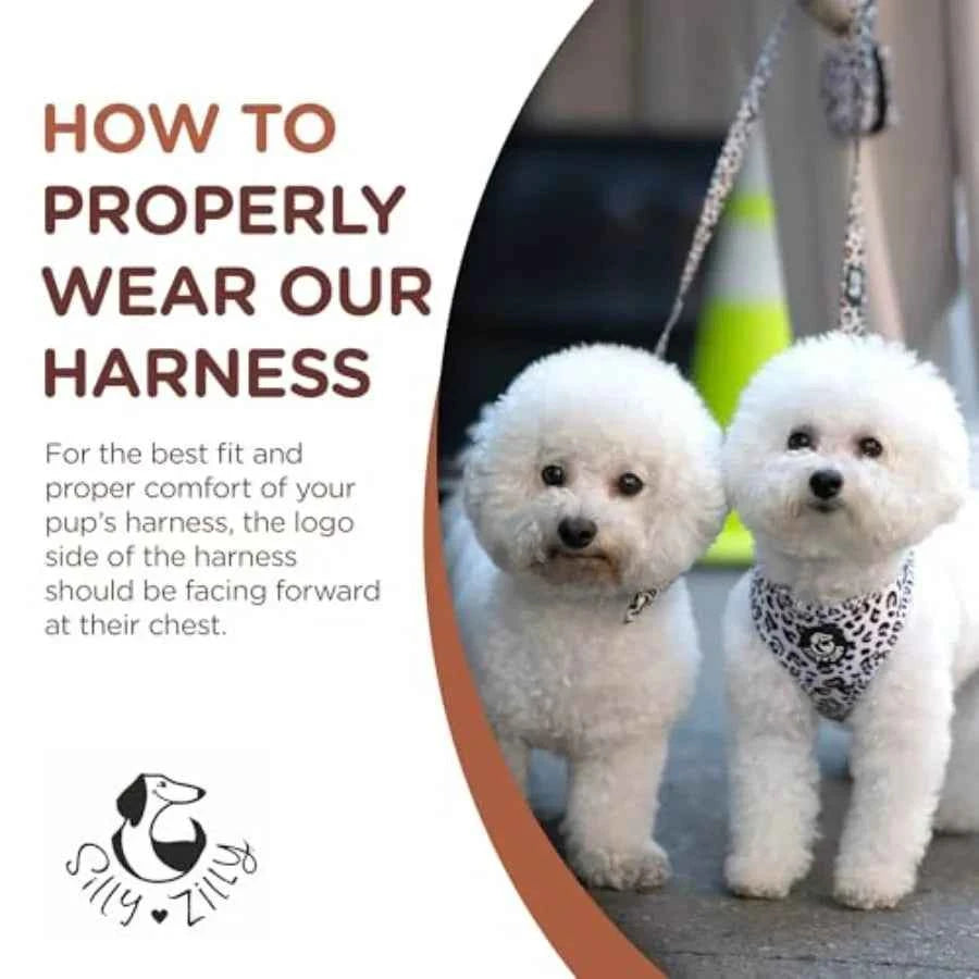 No Pull Harness and Leash Set - 6-in-1 Adjustable Vest Harness and Collars for and Dogs