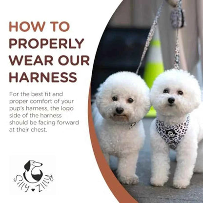 No Pull Harness and Leash Set - 6-in-1 Adjustable Vest Harness and Collars for and Dogs