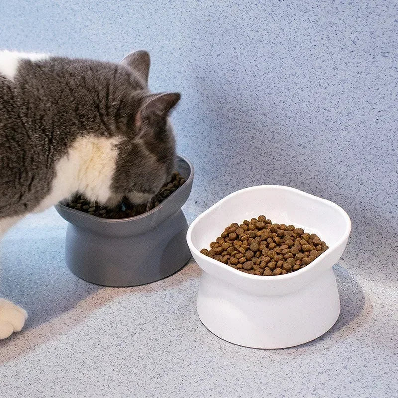 Hign-concerned Oblique Mouth Pet Food Bowl for Dogs and Cats