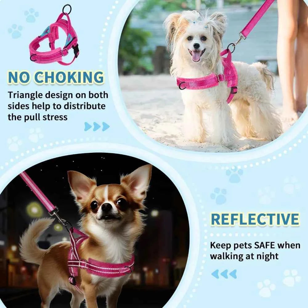 No Pull Small Dog Harness & Leash Set, Soft Vest for Small Medium Dogs, Reflective & Adjustable, Fuchsia XS