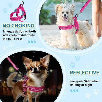 No Pull Small Dog Harness & Leash Set, Soft Vest for Small Medium Dogs, Reflective & Adjustable, Fuchsia XS