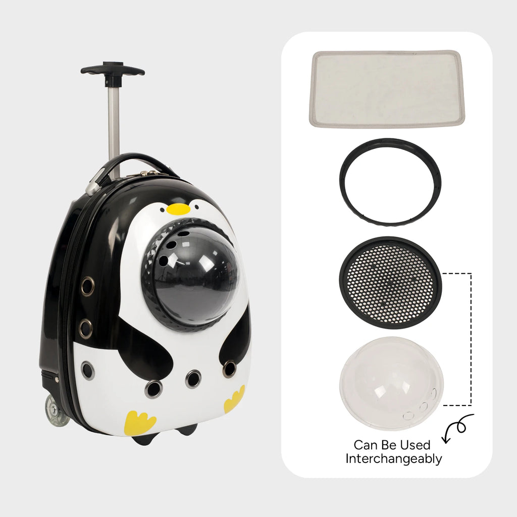 Two in One Cat Carrier Backpack for Felines and Dogs