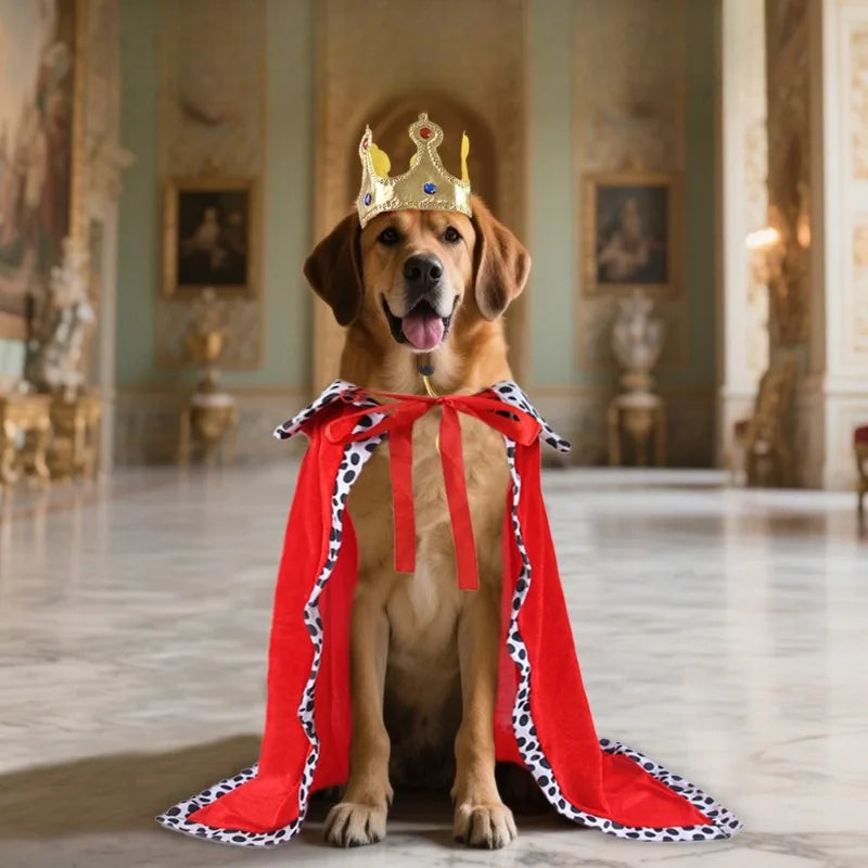 Halloween Dog Party Costumes Funny Dog King Costume for Small Medium Large Dogs Weird Pet Cloak Transformation Suit Holiday Gift