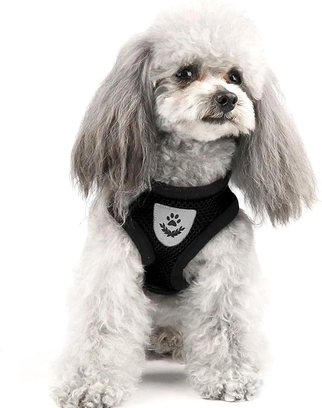 NONECN Cat Chest Harness And Leash Set Summer Mesh Adjustable