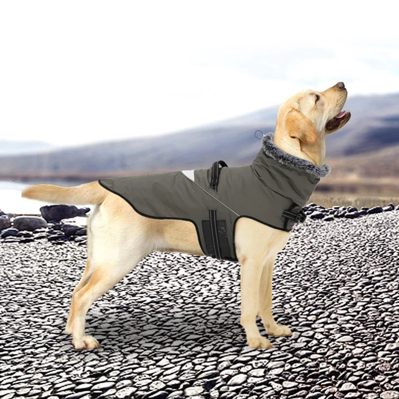 Winter Dog Jacket Puppy Warm Coat With Harness for Small Large Dogs Fur Collar Clothes Waterproof Labrador French Bulldog Outfit