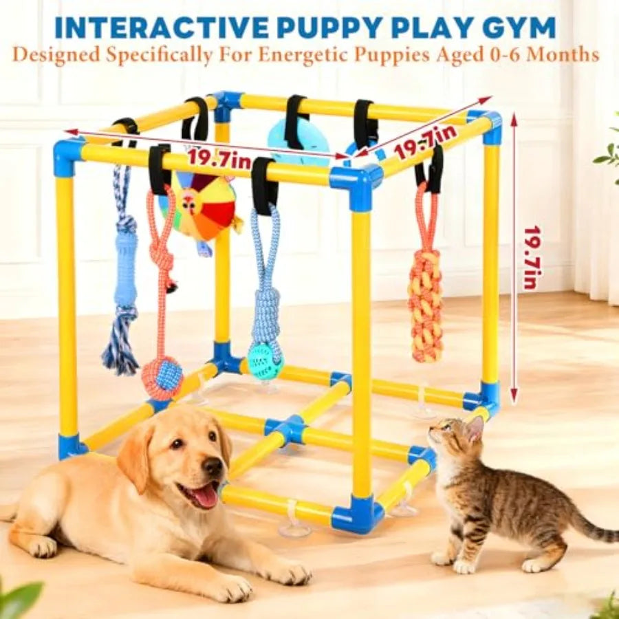 YAO HUI HUANG Deluxe Puppy Play Gym For Small Dogs