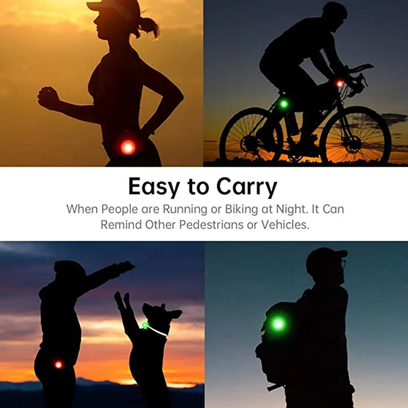 Guangdong Usb Luminous Dog Collar Rechargeable Light