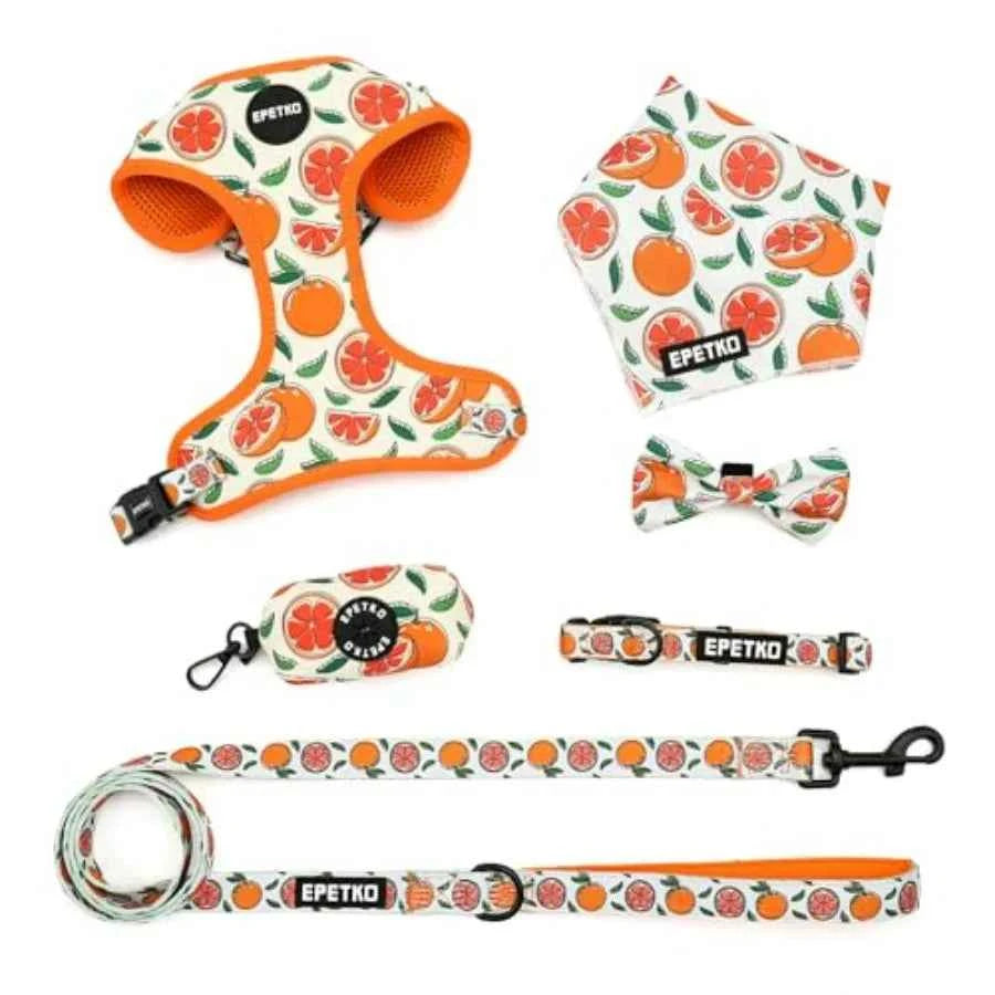 Small Dog Harness and Leash Set of 6, No Pull Soft Lightweight Mesh Puppy Harness Adjustable Cute Floral Pattern Pet Harness fo