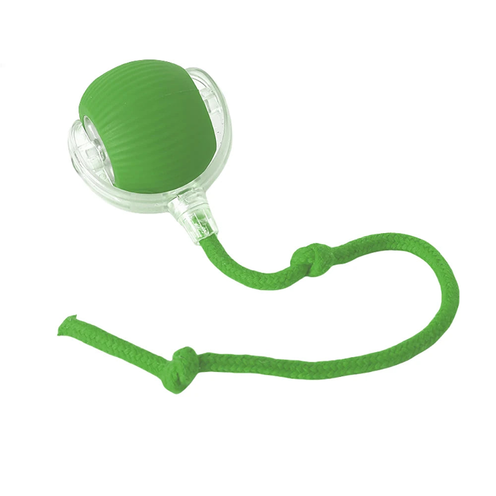 Rechargeable Interactive Rolling Cat Toy Ball Indoor Play