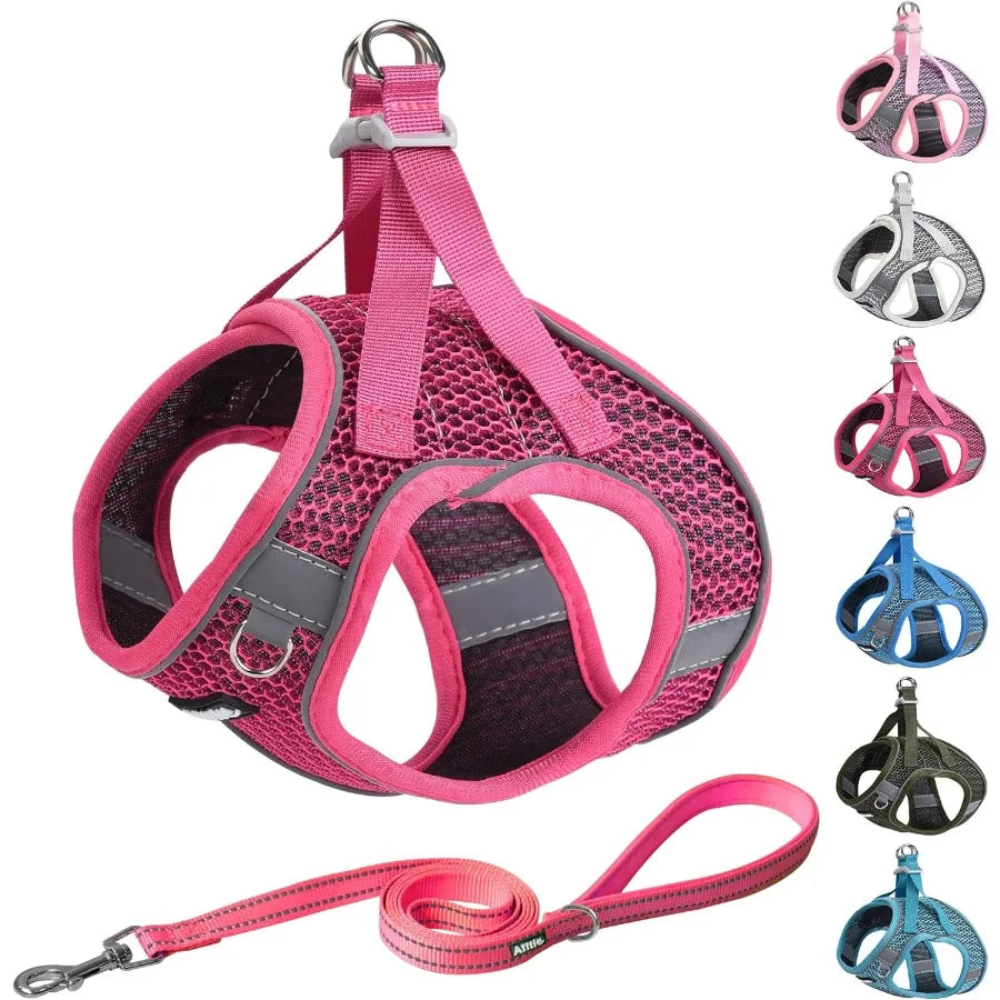 High Concerned Step In Dog Harness And Leash Set Weatherproof