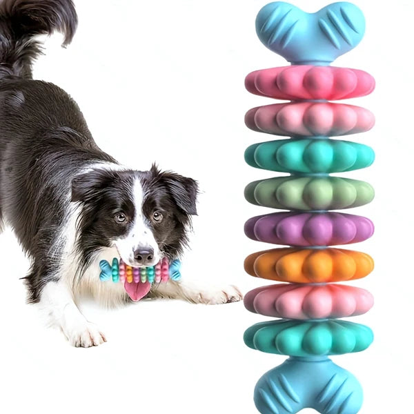 Durable Dog Chew Bone Toy Set For Teething And Dental