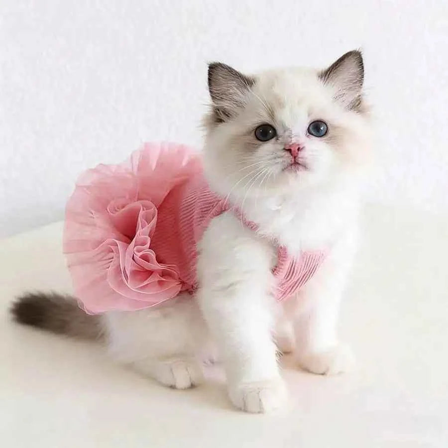 Sweet Dog Tutu Clothes Valentine Day Dress Celebration Birthday Outfit