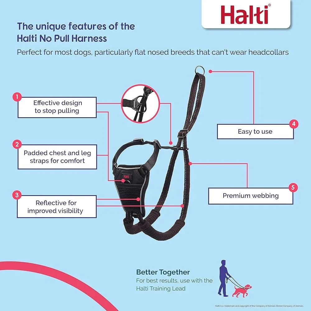 No Pull Dog Harness Adjustable Reflective Training Leash