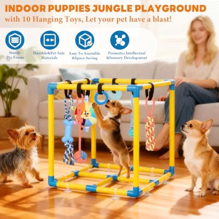 YAO HUI HUANG Deluxe Puppy Play Gym For Small Dogs