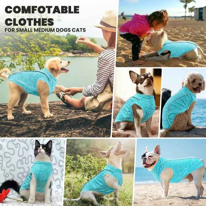 Pet Dog Shirt Quick Dry Dog T-Shirt Chihuahua Breathable Thin Sun Protection Dog Shirt Puppy Outdoor Clothes Summer Pet Supplies