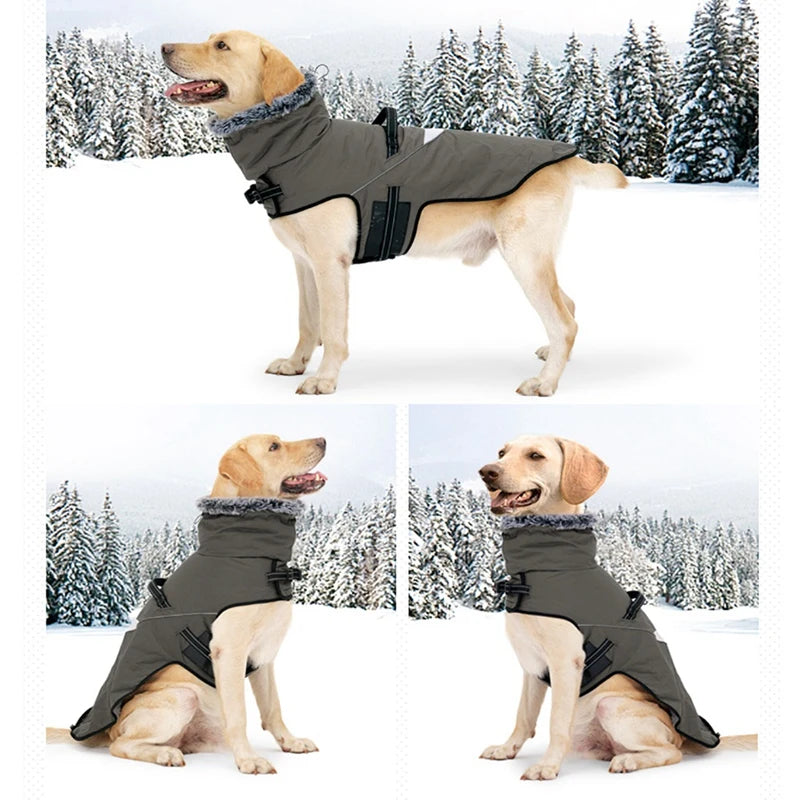 Winter Dog Jacket Puppy Warm Coat With Harness for Small Large Dogs Fur Collar Clothes Waterproof Labrador French Bulldog Outfit
