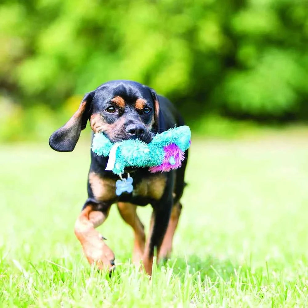 Small Alligator Cozie Dog Toy, Minimal Mess, Squeaky, Durable, 2 Sizes