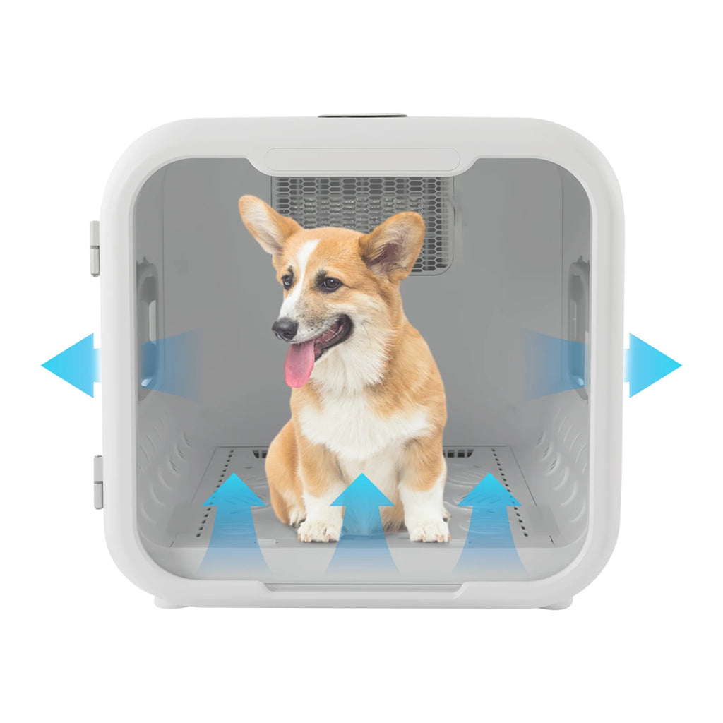 800W Pet Dryer Box For Grooming Hair Drying And Sanitation