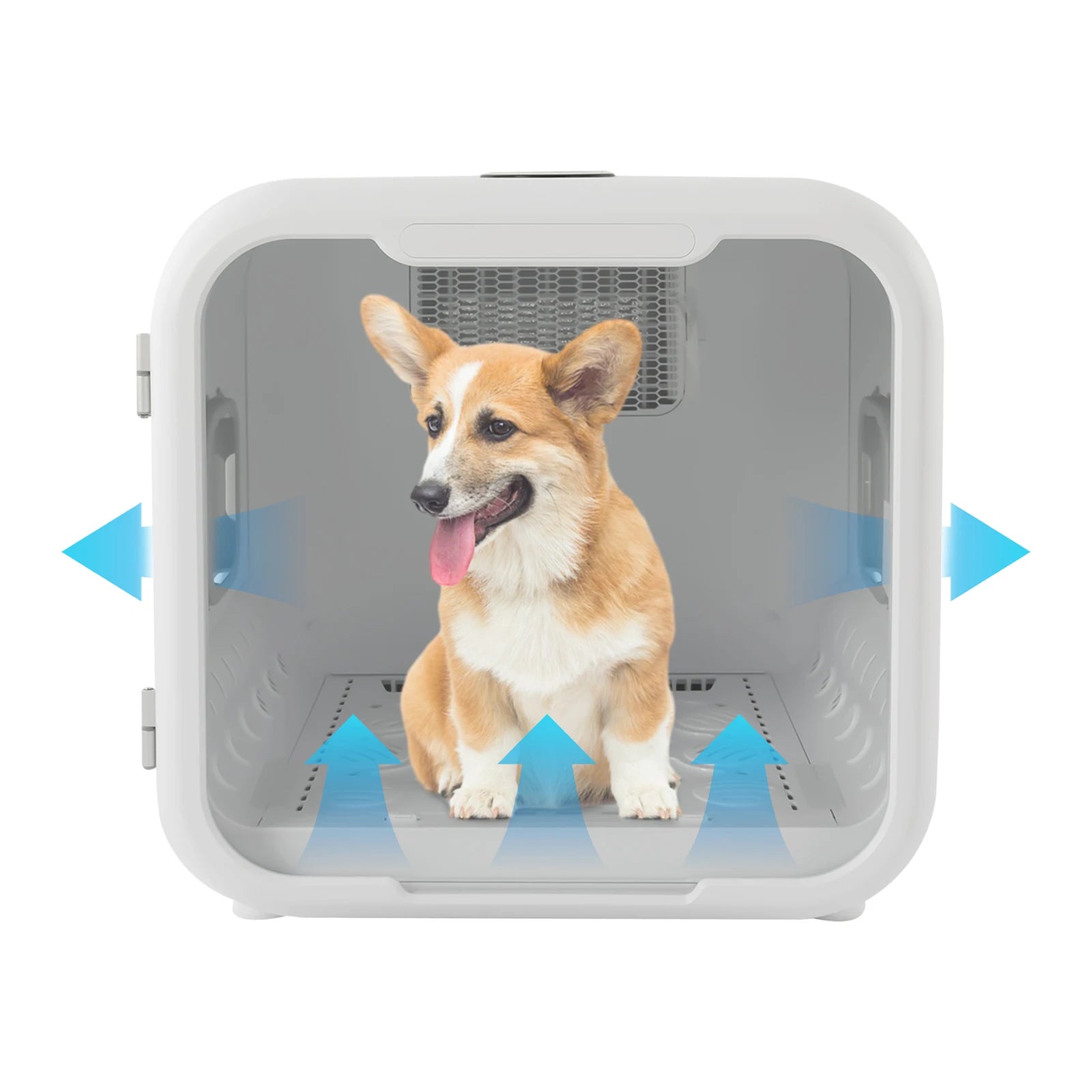 800W Pet Dryer Box For Grooming Hair Drying And Sanitation