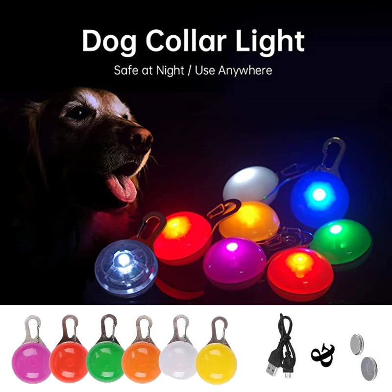 Guangdong Usb Luminous Dog Collar Rechargeable Light