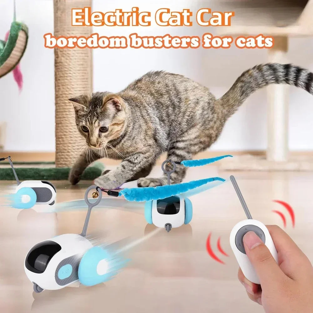 Automatic Rolling Remote Control Cat Toy For Interactive Play