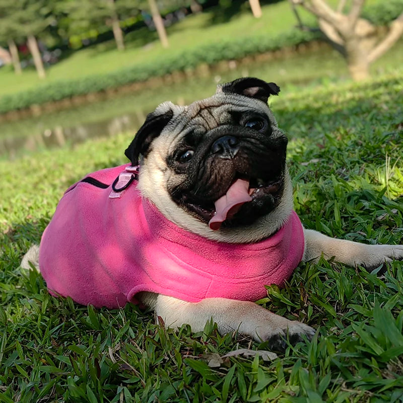 Winter Fleece Dog Coat Jacket For French Bulldog Pug