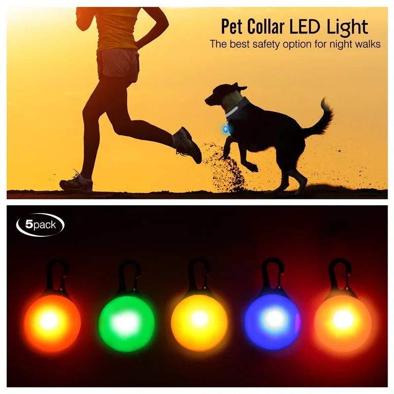 USB Charging Glowing Dog Collar With Pendant LED Night Safety