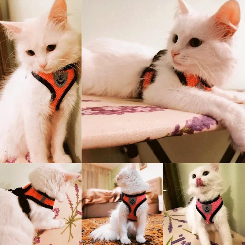 Cat Harness Vest With Adjustable Polyester Mesh Leash For Pets