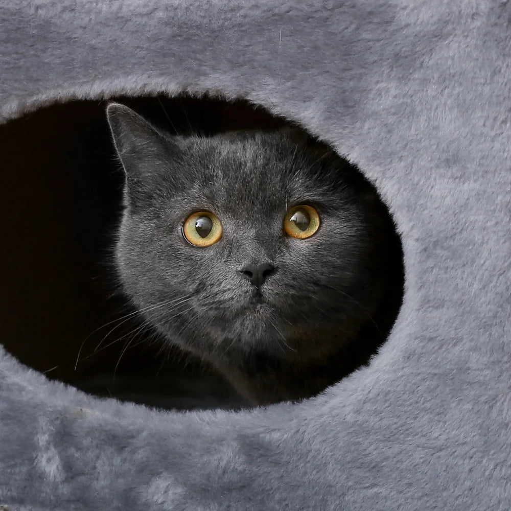 2-Story Cat Condo Double-Hole Space-Saving Scratching Tree Multi-Entrance Lightweight Pet Furniture Indoor Compact Assembled