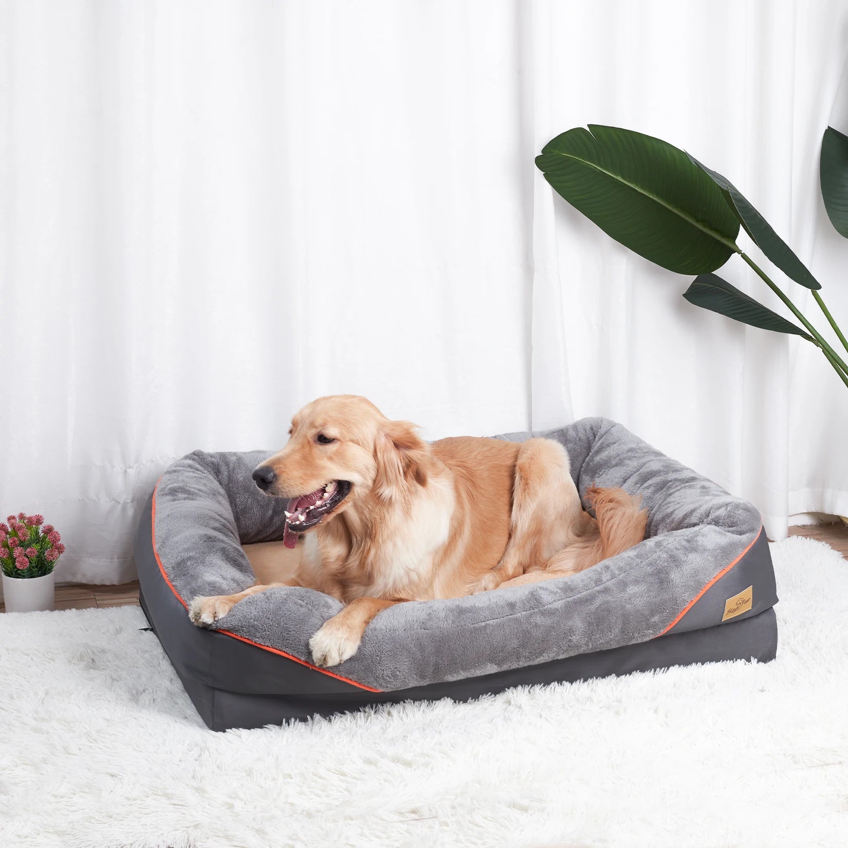 BINGOPAW Dog Bed Soft Comfortable Anti Allergy Fleece Waterproof
