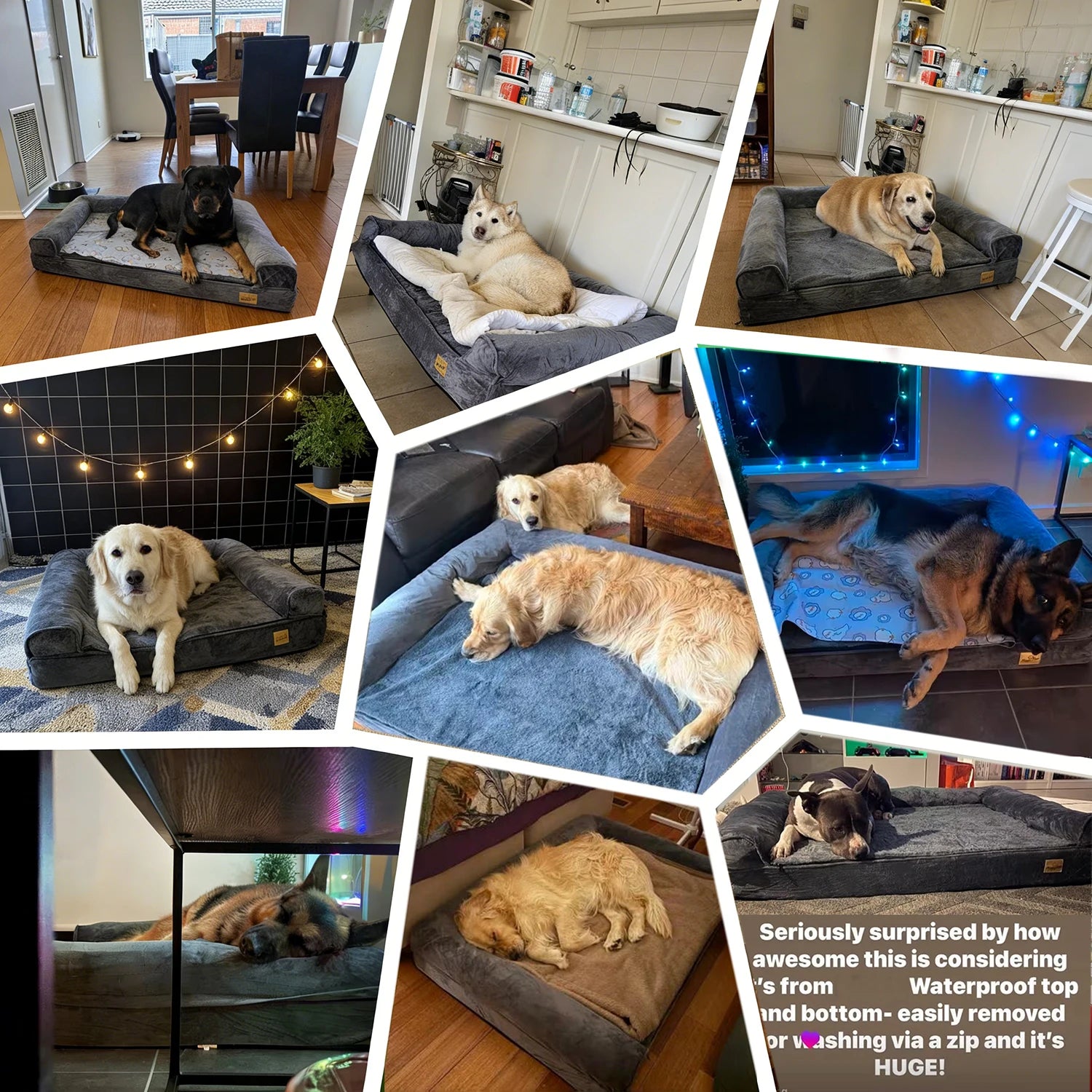 BORWARTCN Calming Orthopedic Memory Foam Dog Bed Waterproof Removable Cover