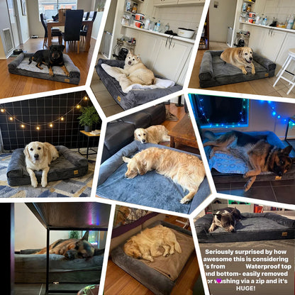 BORWART Calming Dog Bed Orthopedic Memory Foam Sofa Waterproof Cover