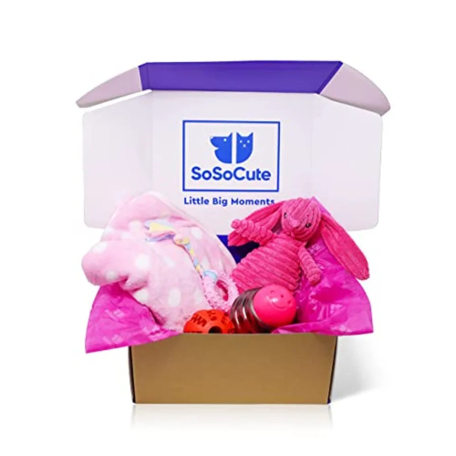 YAO HUI HUANG Puppy Chew Toy Set With Squeaky Teethers