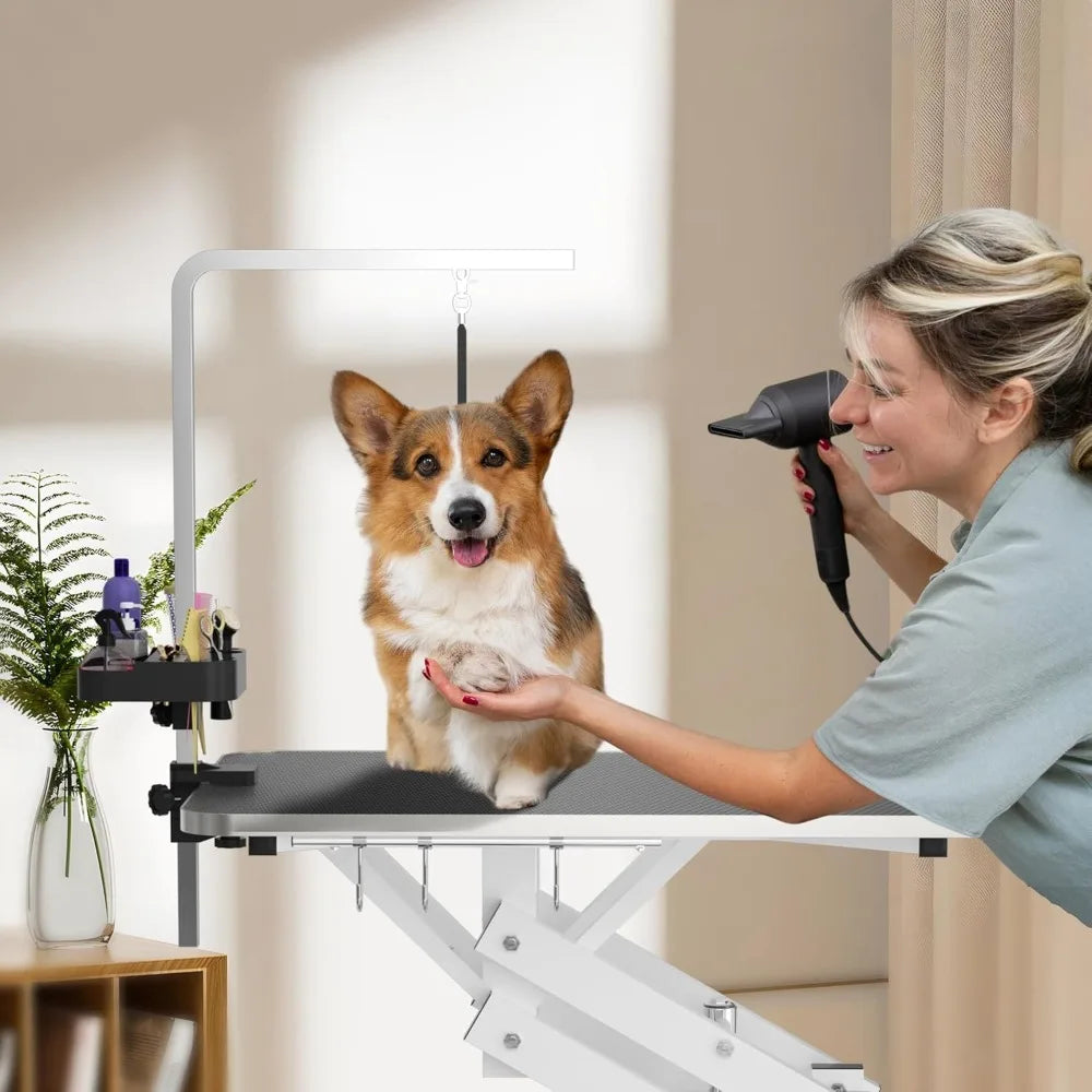 Hydraulic Pet Grooming Table With Anti Static Top Z Lift