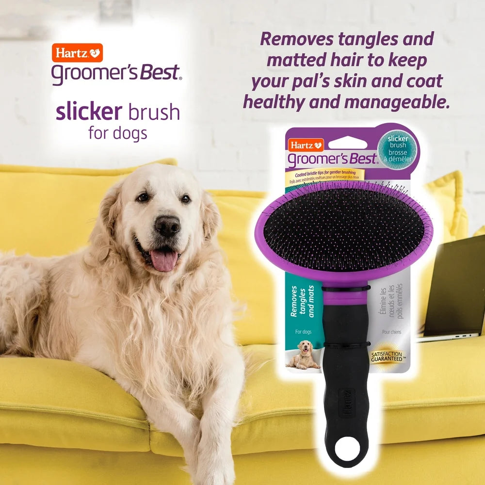 Slicker Brush Large Dogs Ergonomic Design Detangles Removes Mats Gently Grabs Loose Hair Distributes Natural Oils Essential