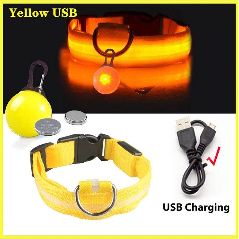 USB Charging Glowing Dog Collar With Pendant LED Night Safety