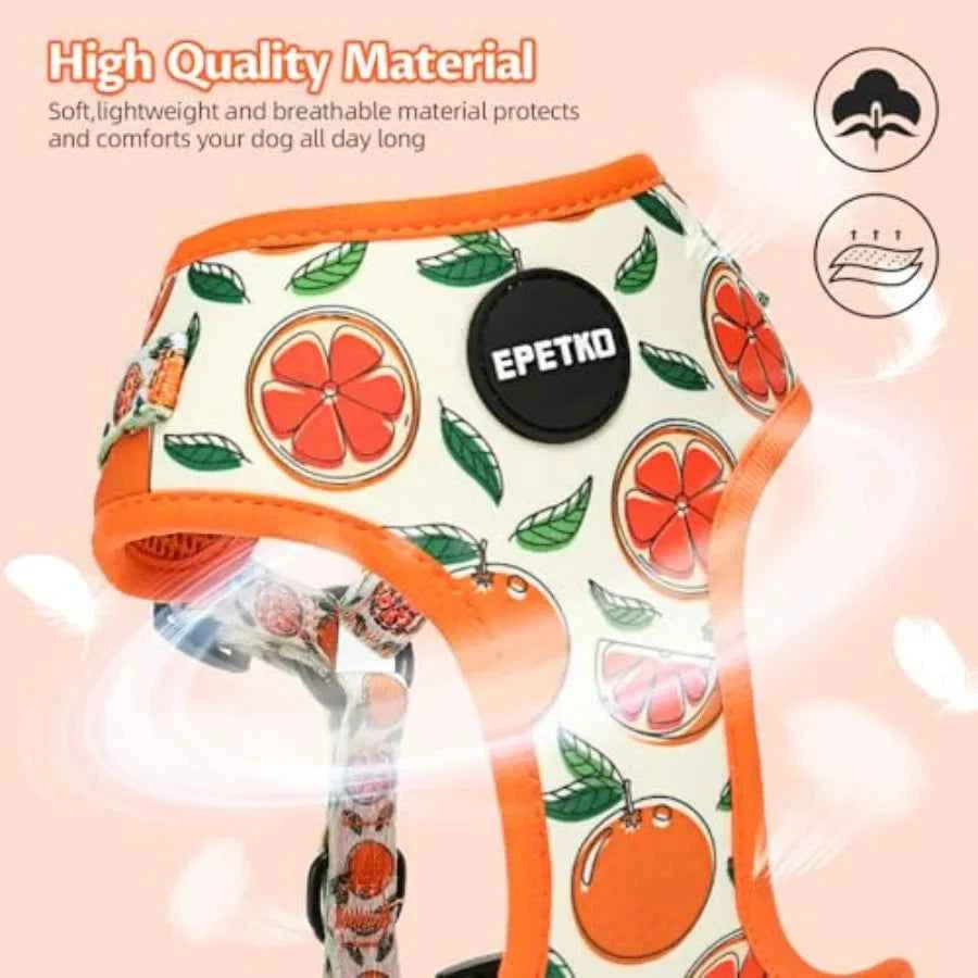 Small Dog Harness and Leash Set of 6, No Pull Soft Lightweight Mesh Puppy Harness Adjustable Cute Floral Pattern Pet Harness fo
