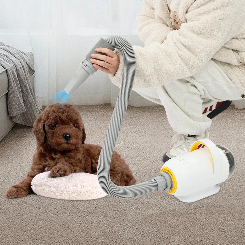Pet Grooming Automatic Dryer Box 600W 1000W 2800W Pro