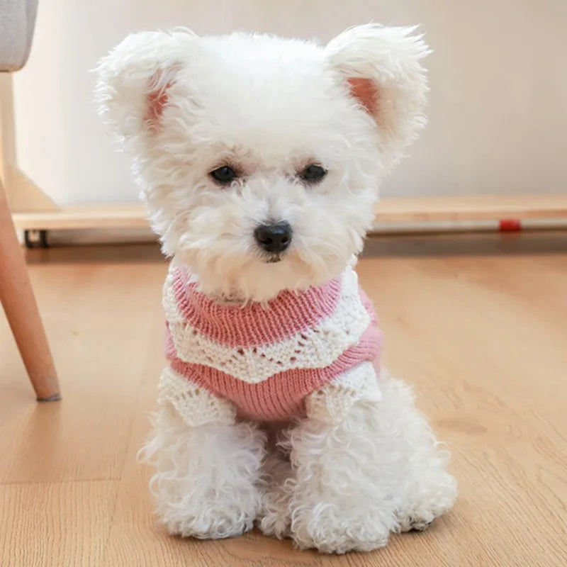 Soft Warm Knitted Blossoming Flower Design Dog Sweater For Pets
