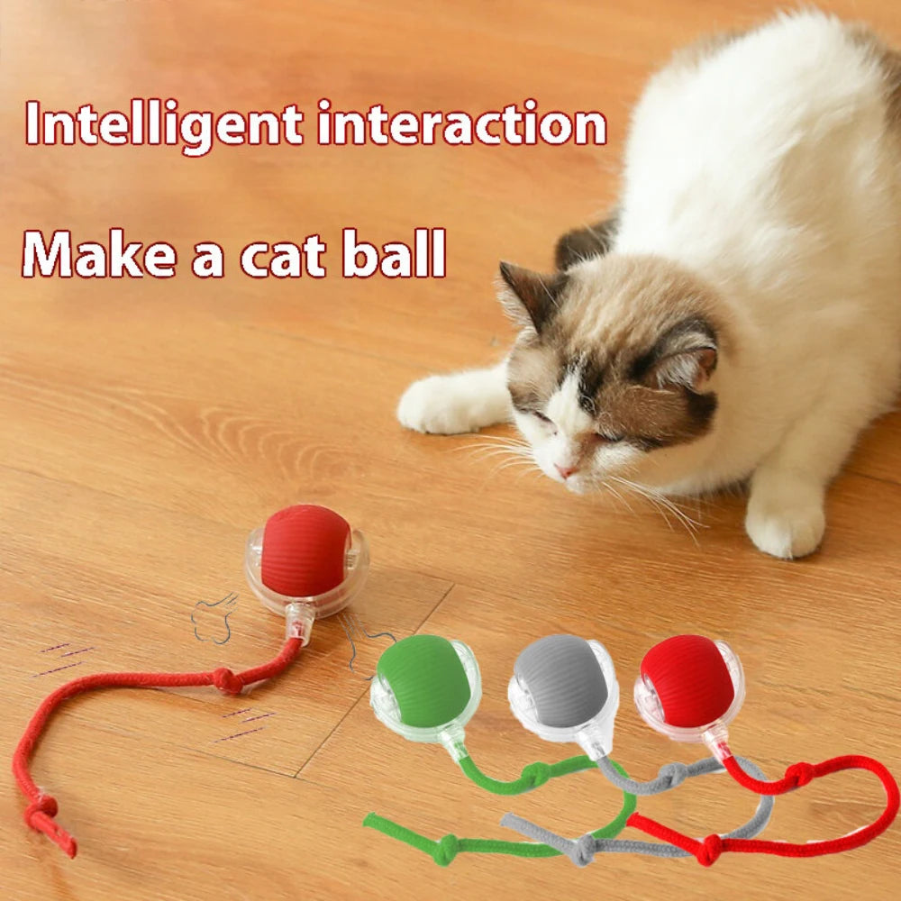 Rechargeable Interactive Rolling Cat Toy Ball Indoor Play