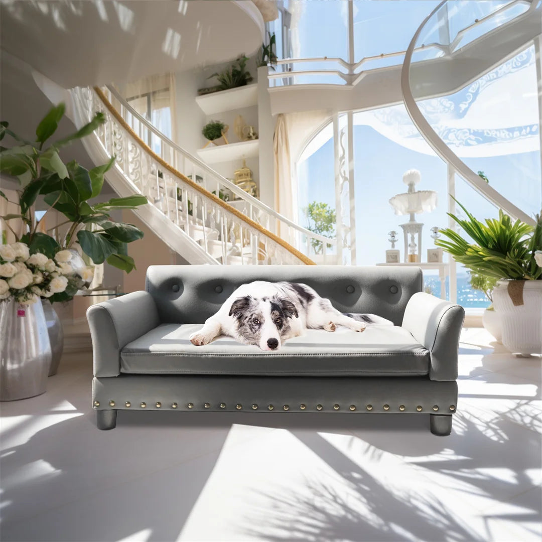 BINGOPAW Heavy Duty Pet Sofa Bed Removable Cushion for Dogs