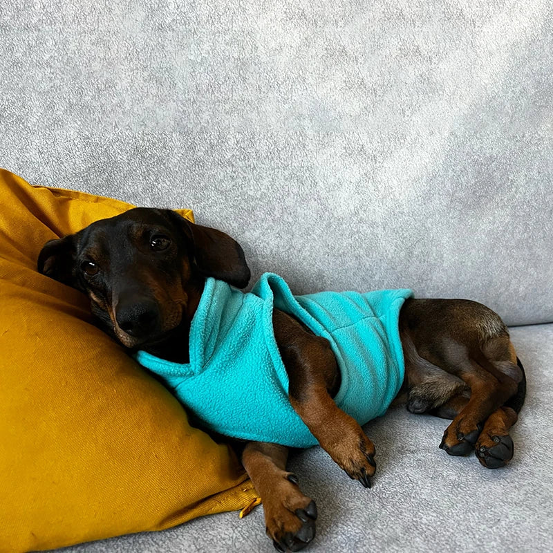 CN Guangdong Winter Fleece Dog Jacket With D Ring Coat