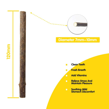 Oitabi Silvervine Cat Chew Toy - Natural Sticks for Healthy Teeth and Gum Care