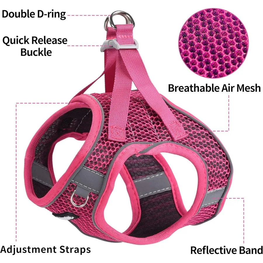 High Concerned Step In Dog Harness And Leash Set Weatherproof