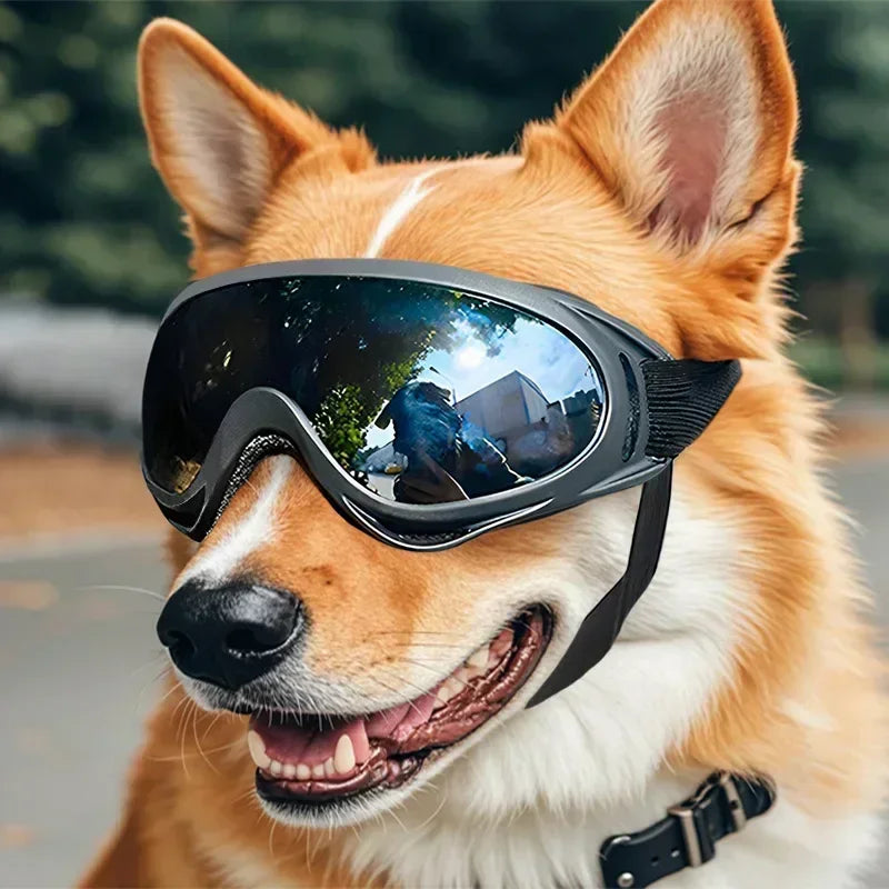 Dog Goggles Adjustable Anti UV Windproof Sunglasses for All Breeds